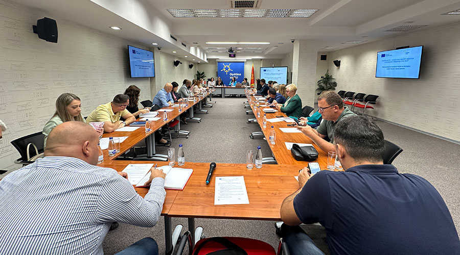 Obligations and Opportunities for Municipalities in Advancing Environmental Protection