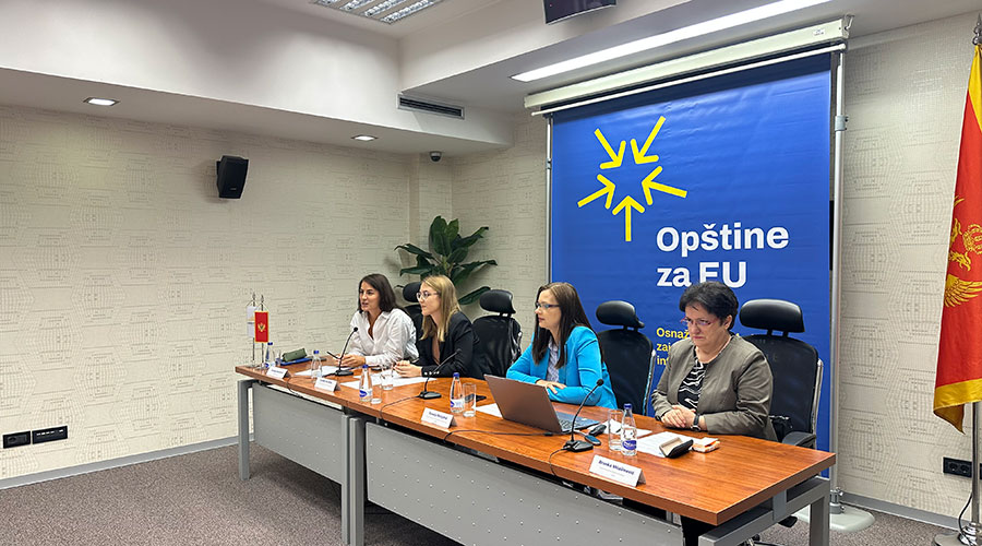 Obligations and Opportunities for Municipalities in Advancing Environmental Protection