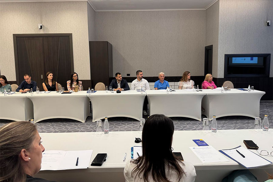 tematska-mreza-digitalizacija-2