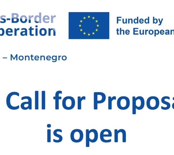 1st Call for Proposals CG SRB