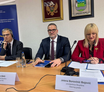 Strong Local Governments as a Key to Successful European Integration 1