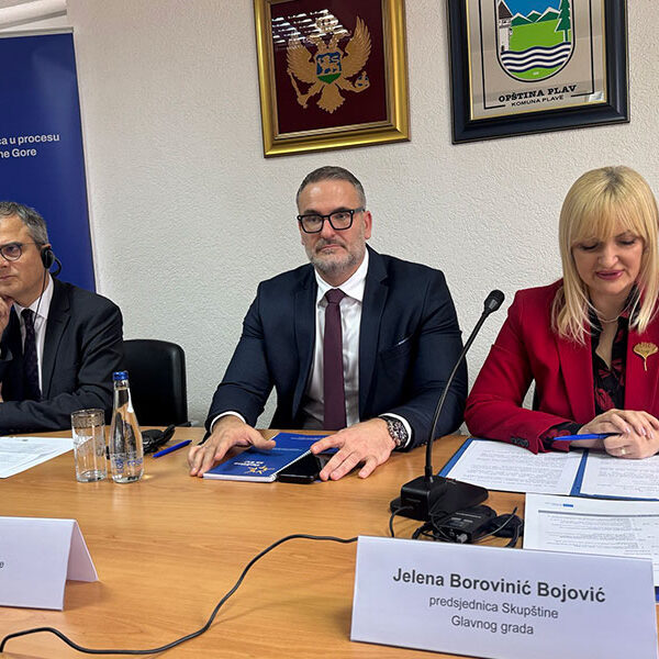 Strong Local Governments as a Key to Successful European Integration 1