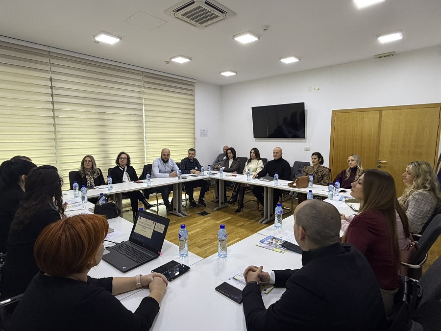 Sastanak Tematske mreže