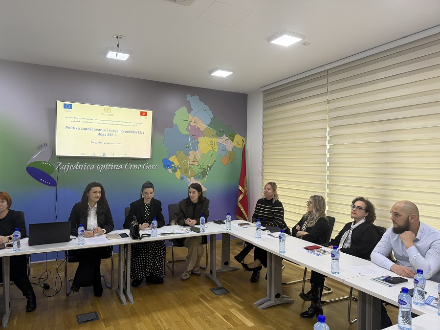 Sastanak Tematske mreže