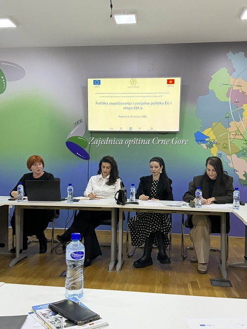 Sastanak Tematske mreže